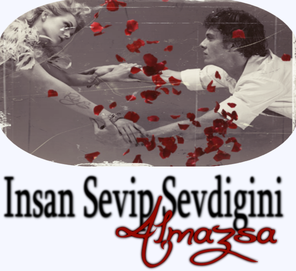 115794d33509be20ee.png