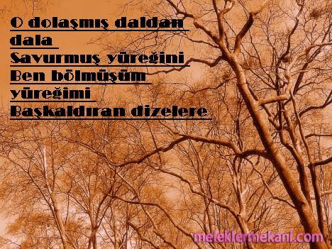24b79f60301bf2f37d4b843fac3617c6-7252.jpg