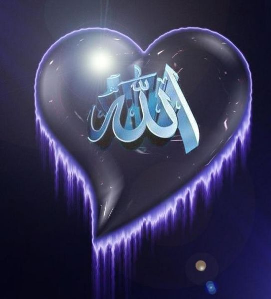 Allah (c.c) iin sevmek