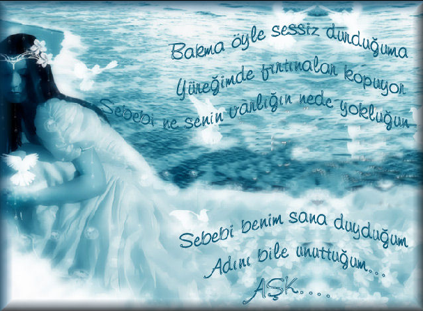 396484d723b7113c5c.png