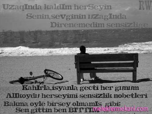 589449df1ffe2291a.jpg