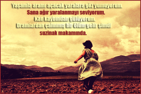 7yasamla-4390.jpg