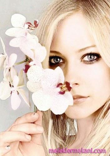 990_990378974_avril_lavigne03_jpg_h114654_l-4850.jpg