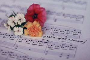 Just_Sing_Me_A_Love_Song_by_pinkparis1233-c6.jpg