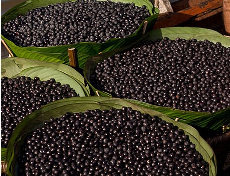 acai1-1042.jpg
