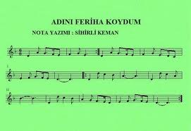 adini_feriha_koydum-b7.jpg