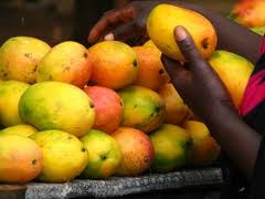 afrikan_mango-2f8.jpg