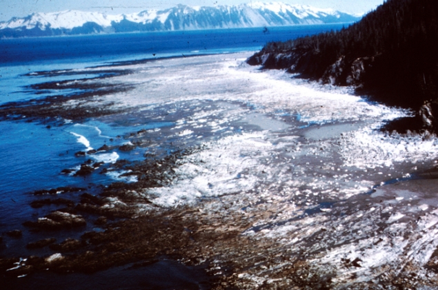 alaska-depremi2-1687.jpg