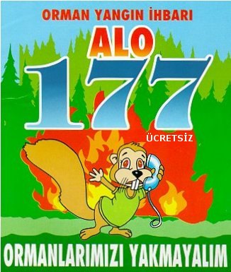 alo177-29a.jpg