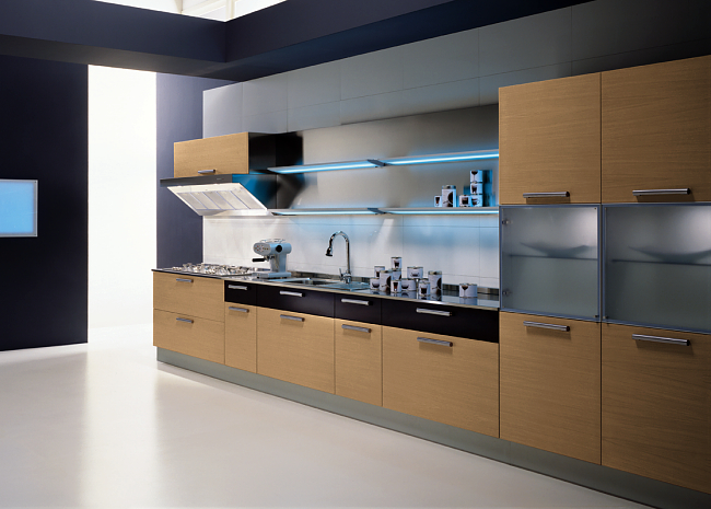 aster-cecine11-5217.jpg