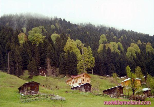ayder-yaylasi-4-5187.jpg