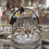 b-32190-muzik_dinleyen_kedi-6689.gif
