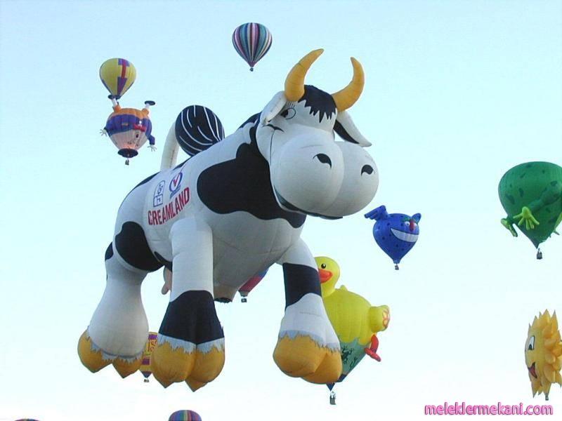 balon4-7903.jpg