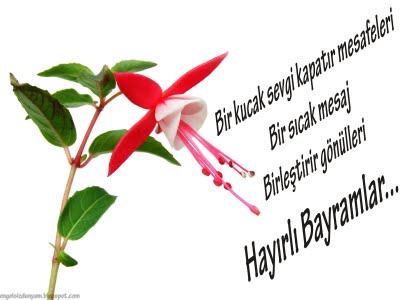 bayram-sumbul-1-2880.jpg