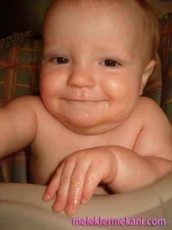 bebek11-149e437f17df0c.png