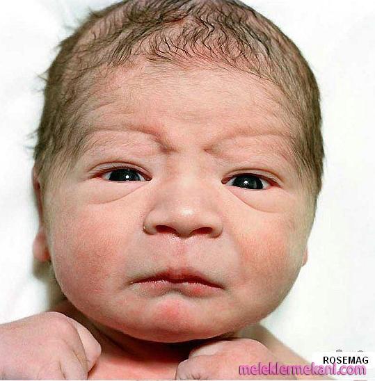 bebek13-6853.jpg