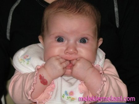 bebek6-149e43711b68c1.png