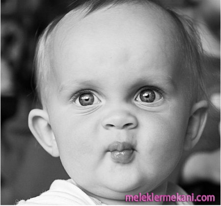 bebek7-149e4371210308.png