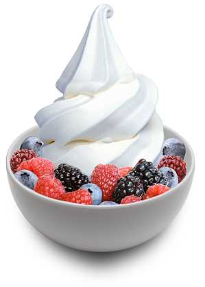 berryo_yogurt_soft_serve_powder_base-7755.jpg