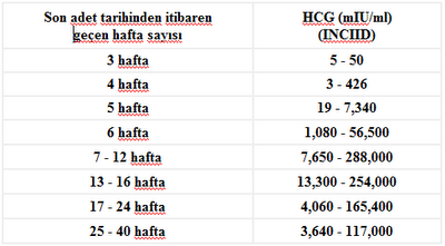 beta-bhcg-e2.png