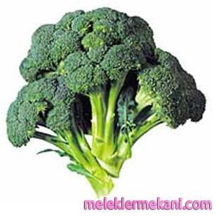 brokoli1-2214.jpg