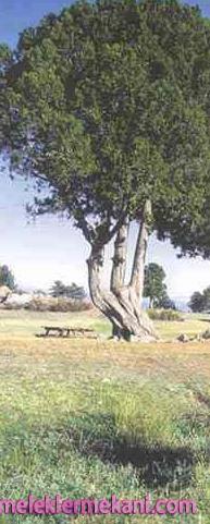 burdur8-2279.jpg