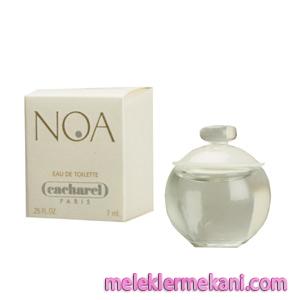 cacharel-noa-edt-100-ml-mb13358_01acb4e5b250864c56b508d55d347a2a_r1-1531.jpg