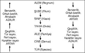 canlilar-121.jpg