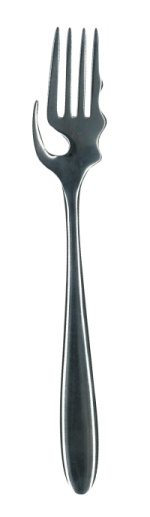 catal2-2538.jpg