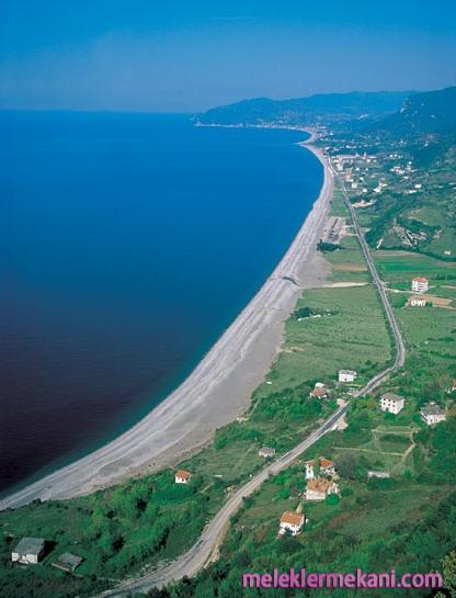 cide3-7290.jpg