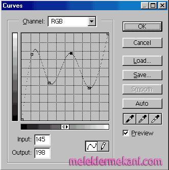 curves-1571.jpg