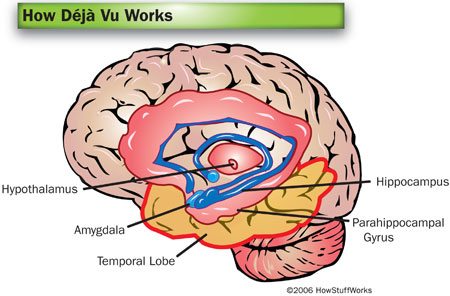 deja-vu-brain-9402.jpg