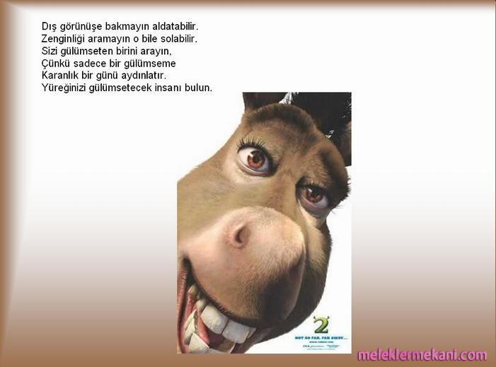 dis-gorunus-5603.jpg