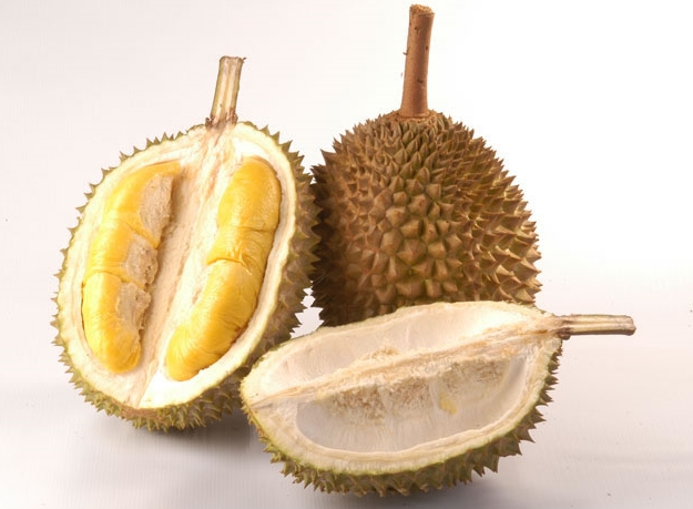 durian2-2230.jpg