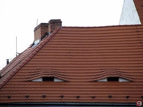 eyes-on-the-roof-7647.jpg