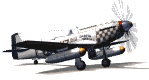 flugzeug_023-2244.gif