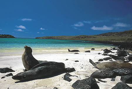 galapagos-5681.jpg