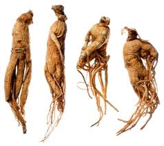 gingseng-215.jpg