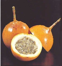 granadilla1-1164.jpg