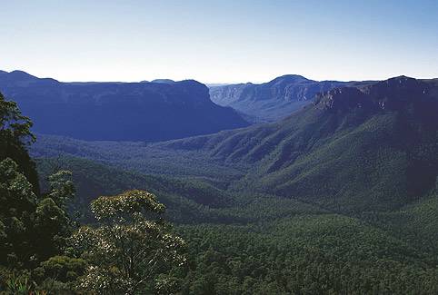 grosevalleybluemountains-resizew482-4506.jpg