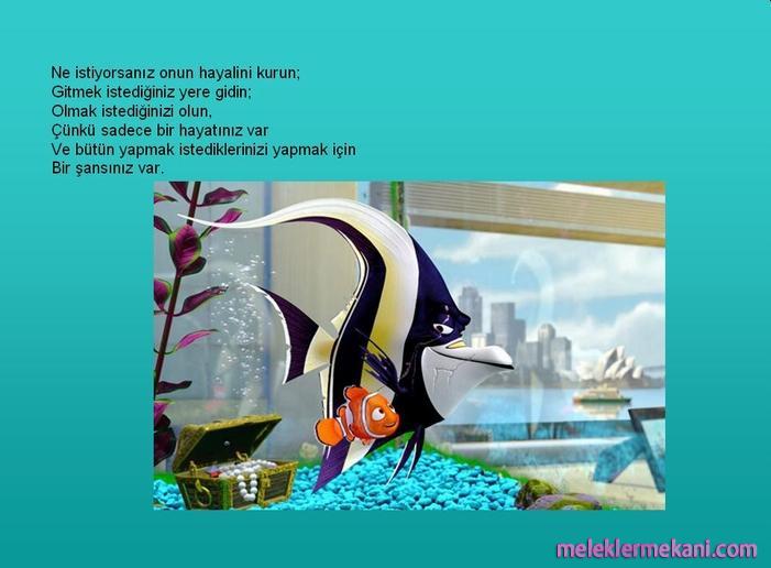 hayal-kurmak-2909.jpg