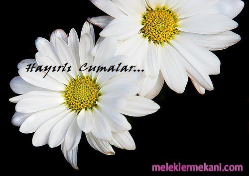 hayirli-cumalar-2822.jpg