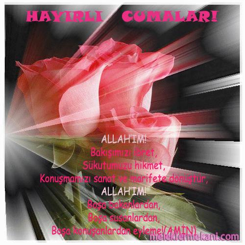 hayirlicumalaril9-5749.jpg