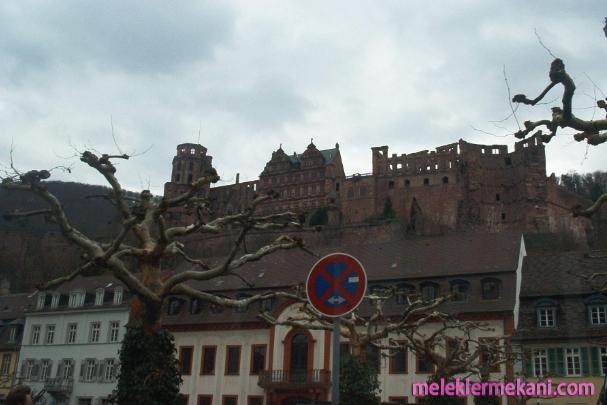 heidelberg-castle-germany-2810.jpg