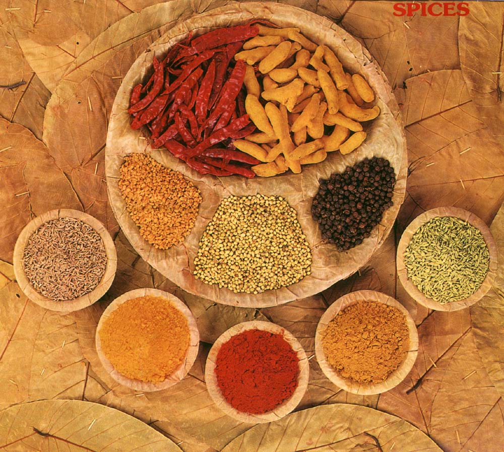 indian_spices-379.jpg