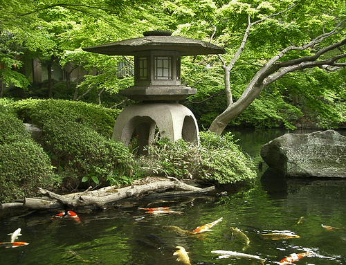 japanese-gardens-9217.jpg