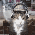 k-79623-muzik_dinleyen_kedi-1734.gif