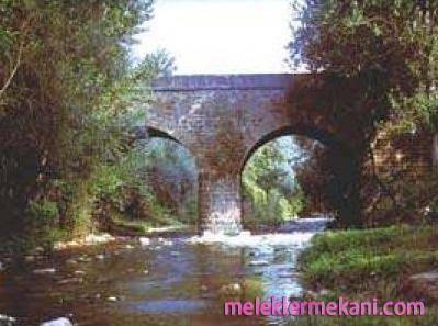 kavak1-5611.jpg