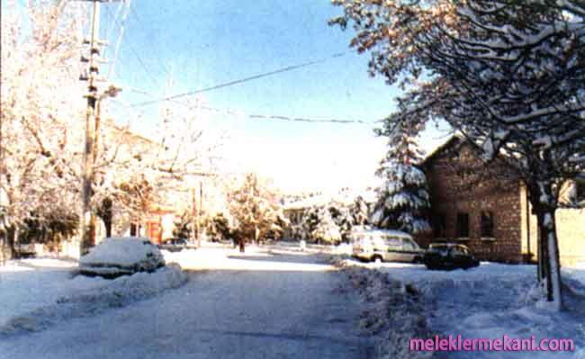 keciborlu3-3691.jpg