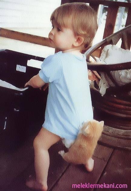 kedili-bebek-8700.jpg